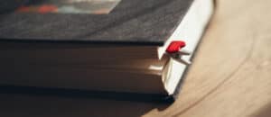 Mybook_konyvjelzo