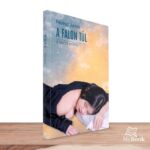 MyBook Révész János - A falon túl